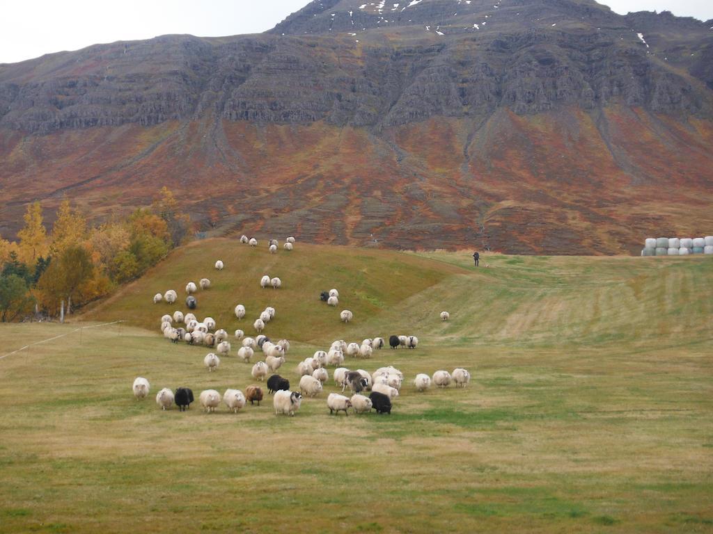 فيلا Skorrahestar Neskaupstaður المظهر الخارجي الصورة