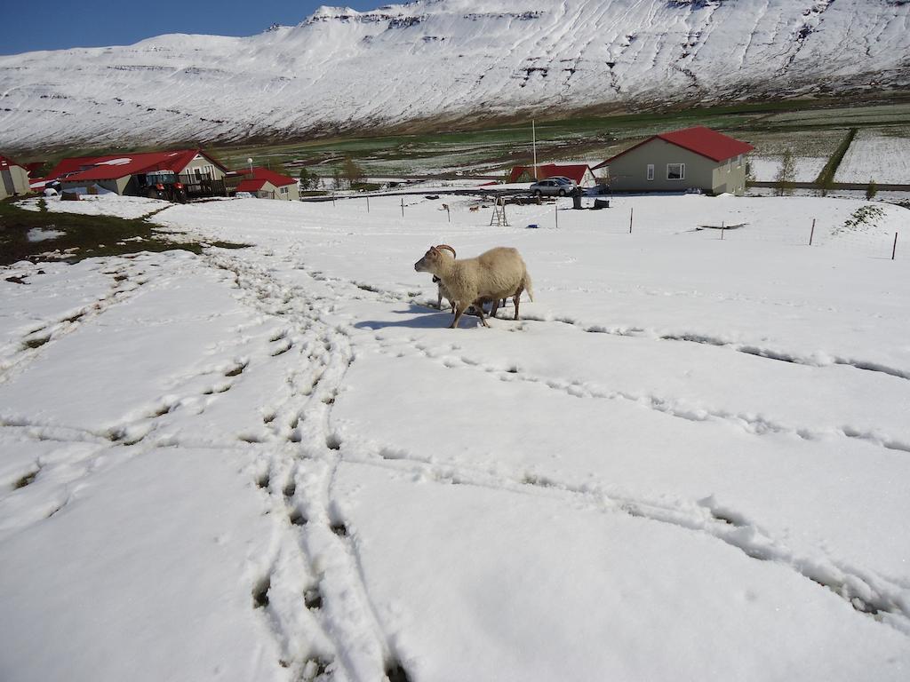 فيلا Skorrahestar Neskaupstaður المظهر الخارجي الصورة