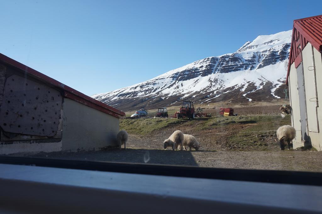فيلا Skorrahestar Neskaupstaður المظهر الخارجي الصورة
